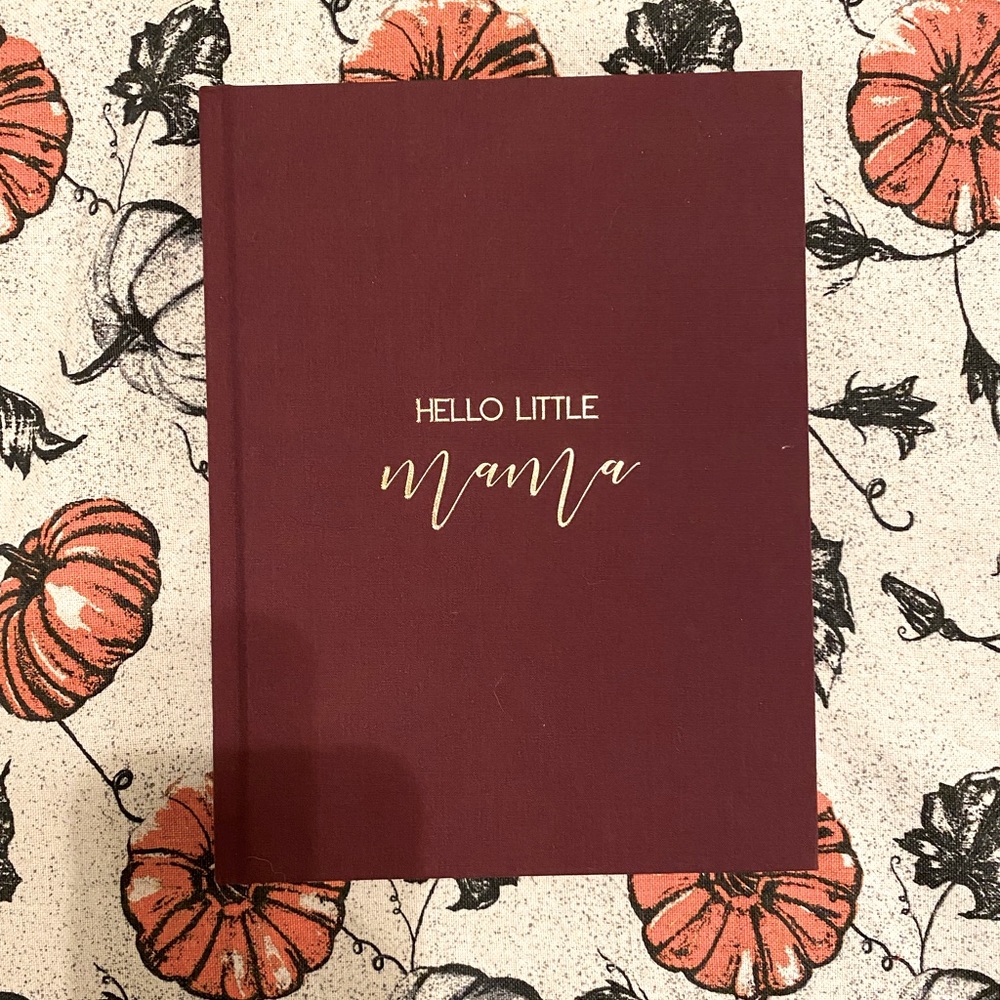 Brand new pregnancy journal and pregnancy milestone cards with keepsake bag